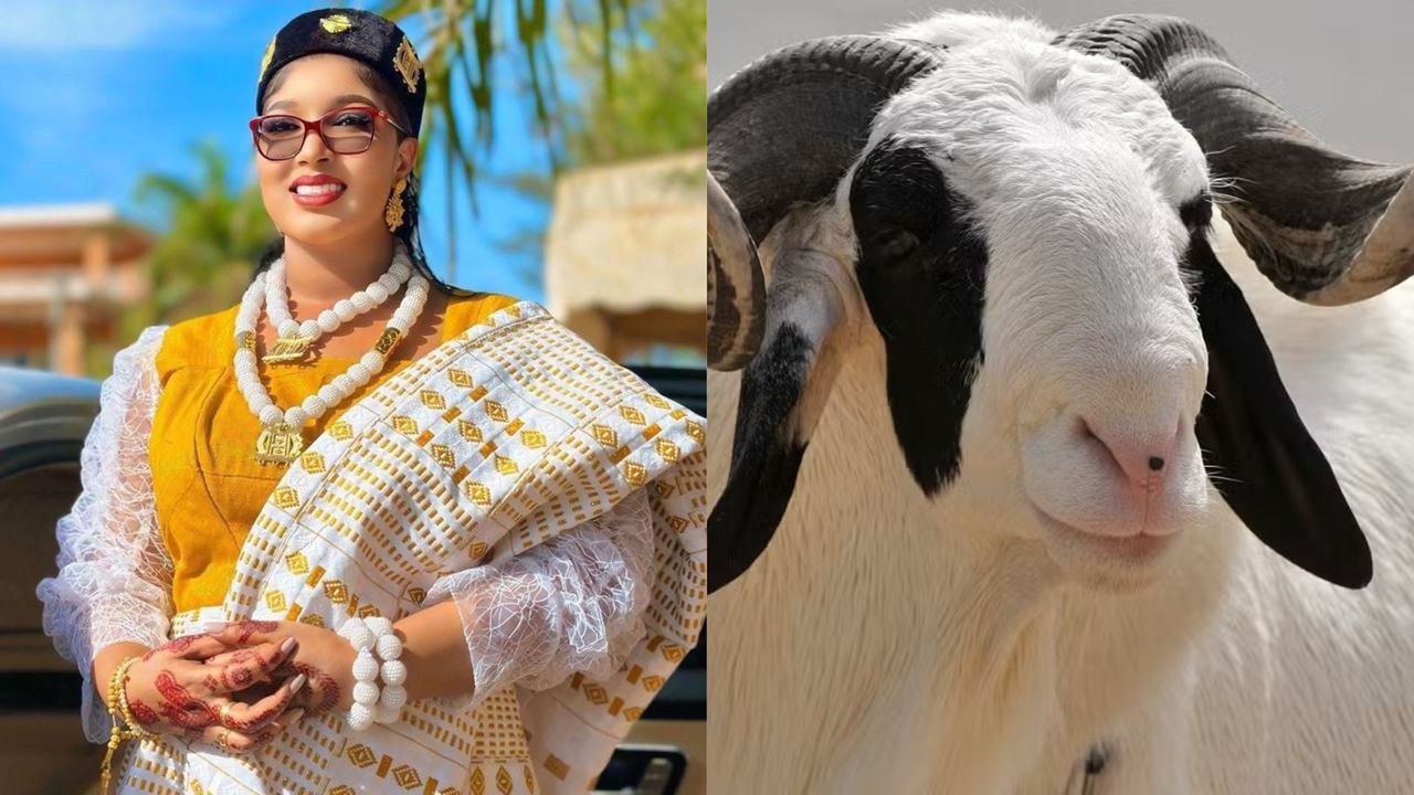 Touly’S Groupe – Tabaski Tour 2025 : La Présidente Fatoumata Batouly Niane offrira 10 999 moutons de Kayes à Kidal.